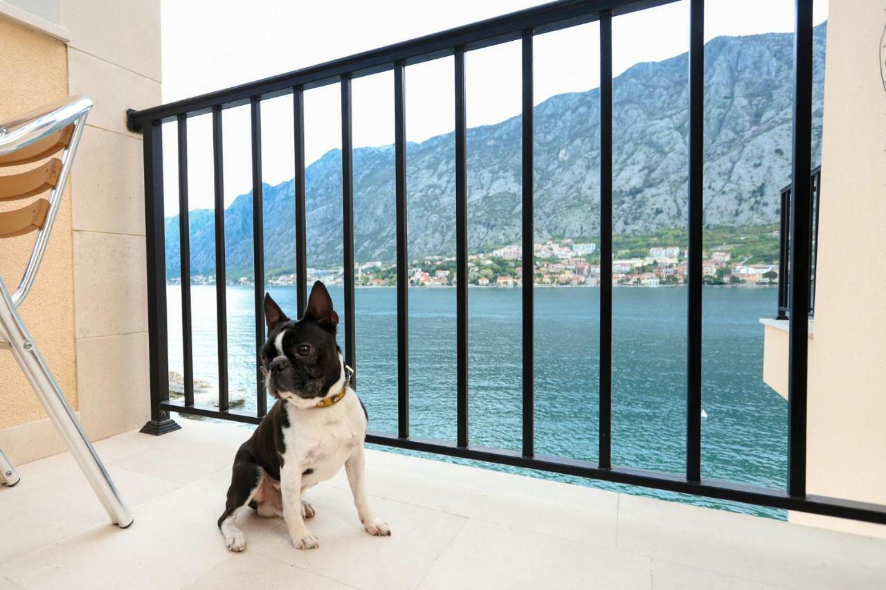 Apartments Rozer Kotor Exteriör bild